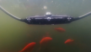 Kit de Empalme de Cables Impermeable, Kit de Conexión de Cables de Cobre Negro para PC, Fabricante de Cables, Tipo Recto M11, Resina - Product Image 3