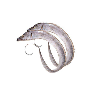 Pescado Fresco de Cinta, Captura Natural, Proteína Saludable - Product Image 6