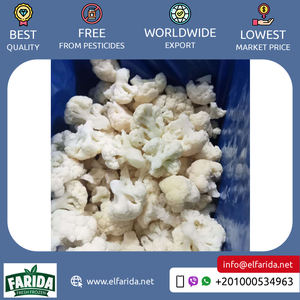 Exportador de alta calidad de suministro al por mayor 100% de verduras naturales altamente nutritivas coliflor congelada de Egipto - Product Image 2