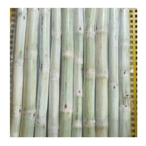 Frozen Sugarcane Chunk Vietnam Frozen Sugarcane Peeled For Juice Making Smoothies And Dessert Recipes - Product Image 2