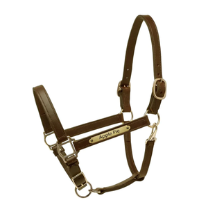 Eluxe-Cuerda de nudo para caballos con plomo doblado, 4 halters - Product Image 3
