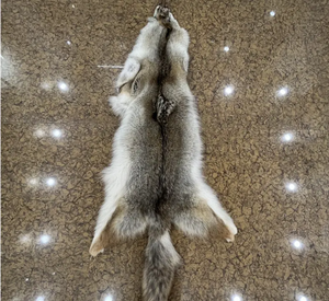 Boost Output with Affordable, Quality <b>Raw</b> Hides from Kenya. Kenya Finest Hides Available. High Quality Hides & <b>Skin</b> For Sale. - Product Image 6