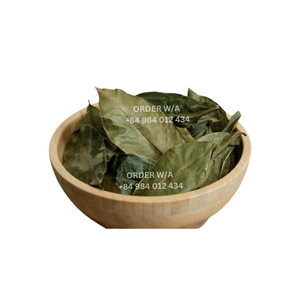 Guanábana Hojas cortadas secas 100% Suplemento de hojas de Guanábana orgánica en guanábana Graviola - Product Image 5