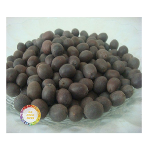 SEMILLAS DE LOTO NEGRAS NATURALES SECAS A GRANEL PARA LA PRODUCCIÓN Y EXPORTACIÓN DE ALIMENTOS FABRICANTE DE VIETNAM - Product Image 5