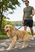 Arnés Táctico Antitirones para Perros, Chaleco Ajustable y Transpirable con Asa de Control y Doble Anilla en D para Perros Grandes OEM ODM