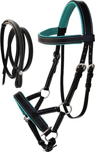 Cheval Western Cob Leather Training Tack Bitless Side pull Bridle w/Rênes Brown/Turkish Blue - Product Image 6