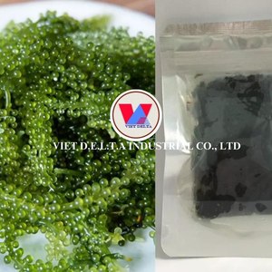 องุ่นทะเลสดสำหรับดีท็อกซ์สมูทตี้อาหารอเนกประสงค์อาหารสาหร่ายและการจัดหาอาหารเพื่อสุขภาพระหว่างประเทศ - Product Image 5