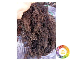 Seamoss irlandés seco de Vietnam Eucheuma Cottonii algas de calidad superior para la salud de la piel venta a granel Clean Superfood Seamoss para la venta - Product Image 6