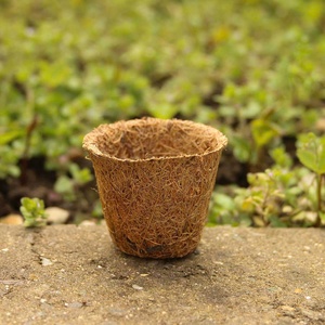 Pots en fibre de coco 100 % naturelle pour pépinières et jardins, fabriqués au Vietnam, en matériau biodégradable, pour la germination des plantes. - Product Image 6