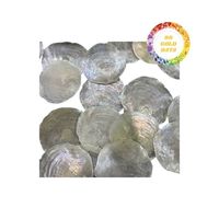 Vente en gros Capiz naturel coquillage coupe ronde pour les carillons éoliens Shell éclairage et projets de bijoux avec forme de carte transparente