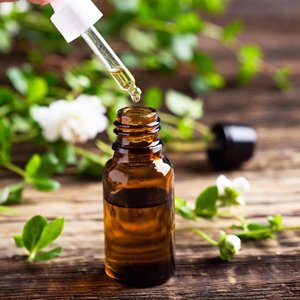 น้ำมันหอมระเหยมานูก้าซีดธรรมชาติ100% 25kgs 180kgs และราคาไม่แพง - Product Image 3