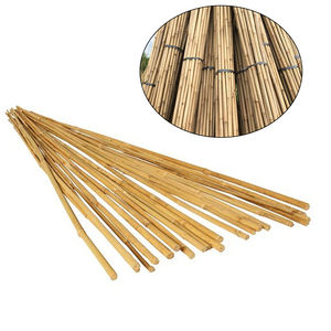 PALO DE BAMBÚ NATURAL DE 30CM - 100CM - Product Image 4