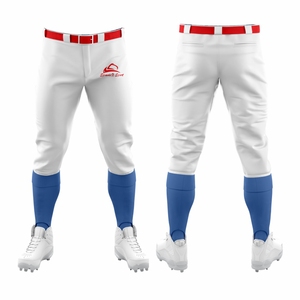 <b>Custom</b> Team <b>Uniforms</b> Personalized <b>Softball</b> Jerseys Printed Design Available in All Sizes - Product Image 5
