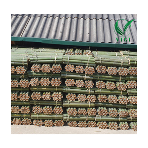 Postes de bambú secos de Vietnam para uso en jardín-Asequible y duradero - Product Image 1