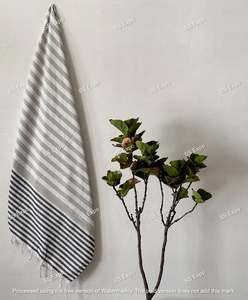 Manta de playa con patrón rectangular compacto turco auténtico algodón de alta calidad para viajes al aire libre en Australia - Product Image 2