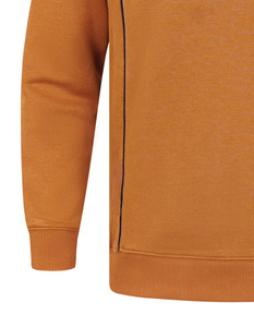 Nueva moda nombre marca Plan sudadera 100% algodón diseñadores ropa al por mayor hombres sudaderas para invierno - Product Image 3