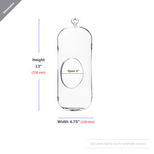 HCH0513 - Terrarium suspendu cylindrique en verre avec trous - 5x13 - Product Image 2