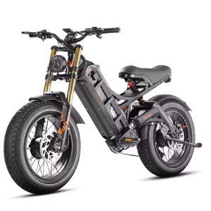 Bicicleta Eléctrica Juliet Romeo II 2500 de Alta Calidad con Motor Personalizado de 2*100 N-m, 6.0 Ah, 5.2 V y Larga Autonomía - Product Image 2