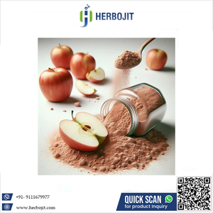 Polvo de jugo de fruta de manzana instantáneo natural Polvo de fruta de manzana seca en aerosol orgánico a precio competitivo - Product Image 6