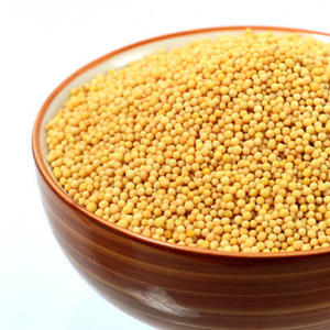 Graines de moutarde noire 100% naturelles de qualité supérieure, vente en gros, approvisionnement en vrac, prêtes à l'exportation, emballage personnalisé, moutarde noire gujaratienne brute 24 - Product Image 6