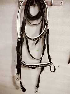 Bride Indorace en cuir de qualité supérieure Bride équestre durable et confortable pour l'entraînement et la compétition d'équitation des chevaux - Product Image 4