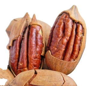 Noci Pecan Biologiche 100% Naturali Crude Ricche di Nutrienti Semi-Morbide Confezionate Sottovuoto SAFactory Durata 3 Anni Grado 1 - Product Image 6