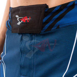 Shorts de Jiu-Jitsu et MMA pour l'entraînement aux arts martiaux, en tissu flexible pour un mouvement complet - Product Image 4