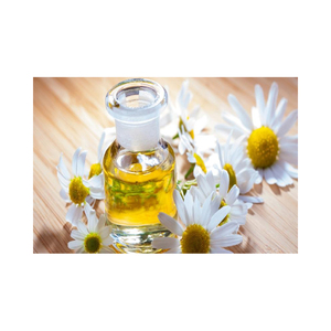 Nuevo 2022 de buena calidad fragancia personalizada aceite flor Manzanilla fragancia para la digestión y reducir el estrés - Product Image 5