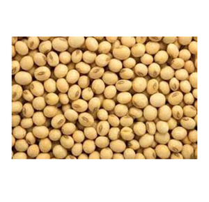 Germinación y soja amarilla de grado alimenticio Frijoles de soja secos de alta calidad Soja no GMO - Product Image 5