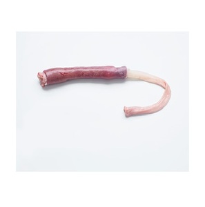 Ésophage de porc congelé |   Ésophagues de porc de qualité supérieure pour la vente en gros - Product Image 2
