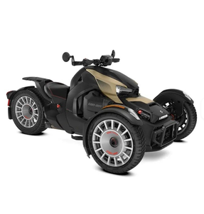 แคน-แอม ไรเกอร์ 900 ACE รถสามล้ออเนกประสงค์สำหรับผู้ใหญ่ รุ่น Recreational Vehicle แบบ Rally พร้อมส่งออก - Product Image 2