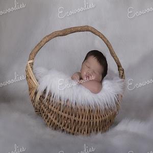 ตะกร้าหวายไม้ไผ่สานน่ารักสำหรับเด็กทารกหวายอุปกรณ์เสริมสำหรับถ่ายรูปเด็กทารกแรกเกิดอุปกรณ์เสริมสำหรับถ่ายรูป - Product Image 6