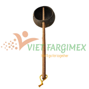 Cuchara de agua de coco-VIET FARGIMEX Producto de agua de coco de alta calidad - Product Image 2