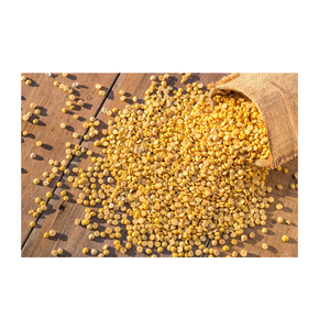 ถั่วลันเตาสำหรับการบริโภคของมนุษย์จำนวนมาก - Product Image 4