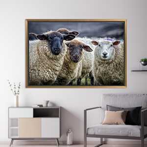 Tableau imprimé sur toile de style rustique avec des moutons, TOILE ENCARTÉCHÉE DANS UN CADRE DORÉ - Product Image 1