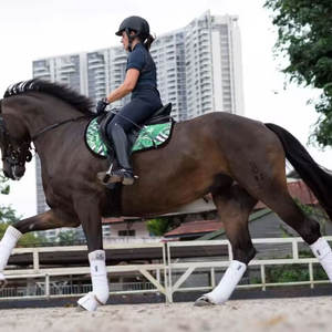 Custom Colors Compression Custom Logo Dressage Horse Saddle High Quality Cotton Fabric Adjustable Foam Padding Saddle Pad - Product Image 3