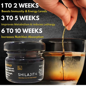 Résine Shilajit organique de l'Himalaya 85 + oligo-éléments acide fulvique énergie soutien immunitaire 30 grammes récipient en verre de qualité alimentaire santé - Product Image 5