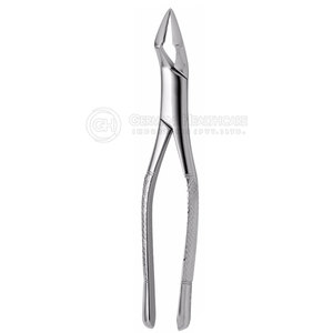 Accuram Instruments Model 104 German Stainless Steel CE Certified Dental Extracting Forceps with 3-Year Warranty - Product Image 5