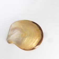 Plato redondo de concha de perla madre con ornamento de plata, placa de decoración para el hogar costero, cargador, embalaje personalizado - Product Image 6