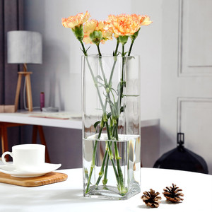 VBV0620 - Florero Cuadrado de Vidrio - 6 x 20 - Product Image 6