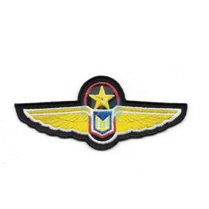 Venta directa de fábrica Insignias de ala Hechas en Pakistán Insignias de ala de peso ligero para la venta - Product Image 3