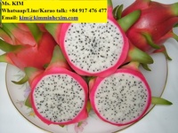 Fruit DE DRAGON FRAIS (CHAIR ROUGE/BLANCHE) COMMUN -- HP 0084 917 476 477