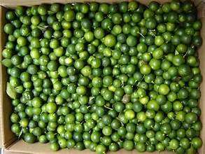 JUGO CALAMANSI CONGELADO DE APOYO INMUNE SIN ADITIVOS ADECUADO PARA BEBIDAS DE ESTILO DE VIDA SALUDABLE - Product Image 6