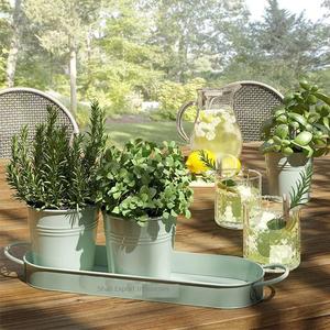 Macetas pequeñas para hierbas, juego de macetas de jardín de granja con bandeja, apartamento al aire libre, alféizar de ventana, maceta de Metal galvanizado - Product Image 4