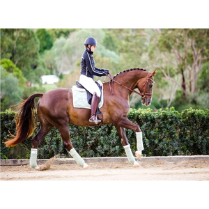 Indian Manufacturer Arabella-bride en cuir hansurien-marron chêne - Product Image 5