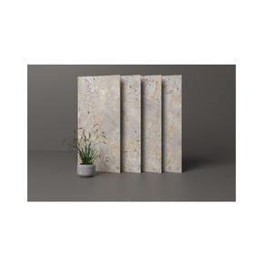 Taille 60x120cm (600x1200mm) La porcelaine vitrifiée émaillée de haute qualité combine force élégance Worldwave International India - Product Image 1