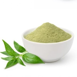 Extrait d'écorce d'Andrographis Paniculata |   Ingrédient de soutien immunitaire à base de plantes sauvages thaïlandaises |   Fournisseur en gros et fabricant OEM - Product Image 5