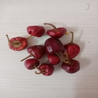 PIMENT ROUGE GUNDU DE QUALITÉ SUPÉRIEURE DE LA MARQUE RGPL, SÉLECTIONNÉ À LA MAIN, FABRIQUÉ EN INDE, EMBALLAGE SAC PP 25/50KG