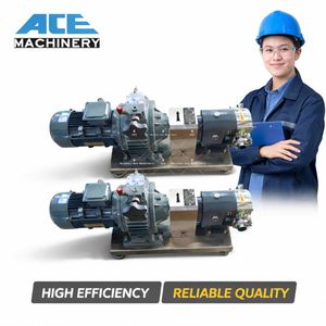 ขายตรงจากโรงงาน ปั๊มโรตารี่แบบลูกบิด 0.75KW เกรดอาหาร สแตนเลส SS304 SS316L ปั๊มน้ำมันสเตนเลสแบบสามลูกบิด - Product Image 6