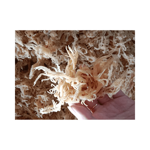 Les algues Cottonii ont une valeur nutritive élevée-Algues Eucheuma Cottonii séchées de haute qualité, traitées à la lumière naturelle - Product Image 6